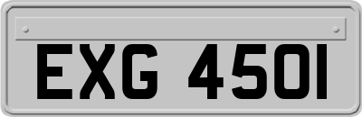 EXG4501