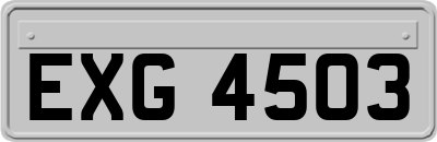 EXG4503