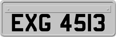EXG4513