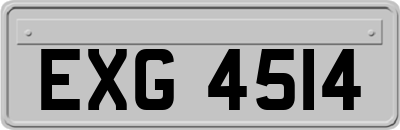EXG4514