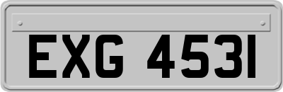 EXG4531