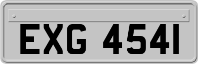 EXG4541
