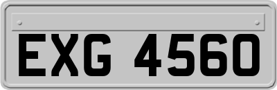 EXG4560