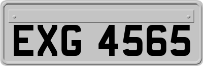 EXG4565