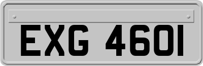 EXG4601