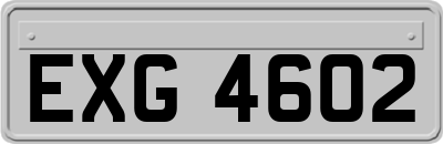 EXG4602