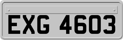 EXG4603