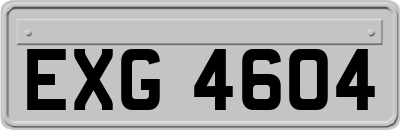 EXG4604