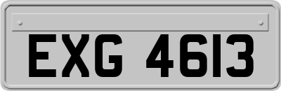 EXG4613