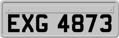 EXG4873