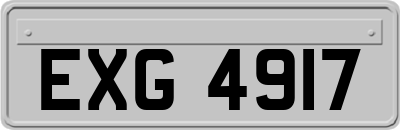 EXG4917