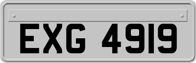 EXG4919