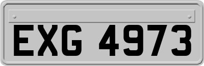 EXG4973
