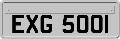 EXG5001