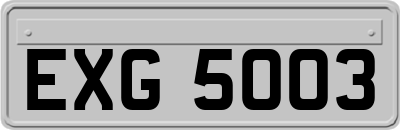 EXG5003