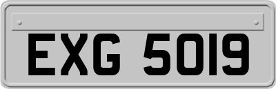 EXG5019