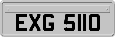 EXG5110