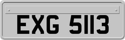 EXG5113