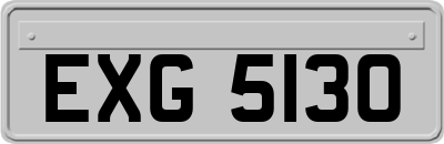 EXG5130