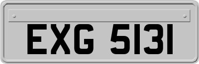 EXG5131