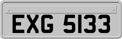 EXG5133