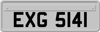 EXG5141