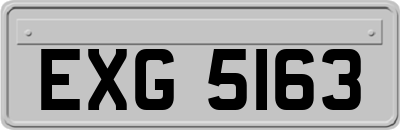 EXG5163