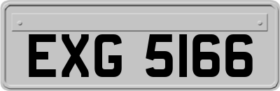 EXG5166