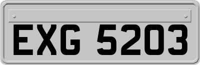 EXG5203