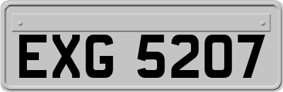 EXG5207