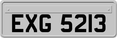 EXG5213