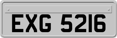EXG5216