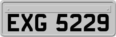 EXG5229