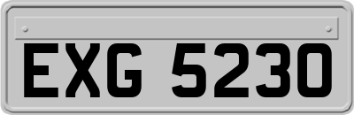 EXG5230