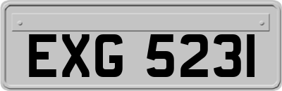 EXG5231