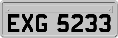 EXG5233