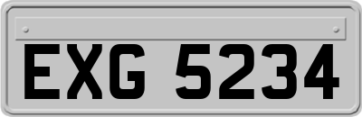 EXG5234