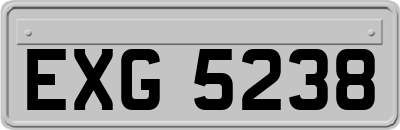 EXG5238