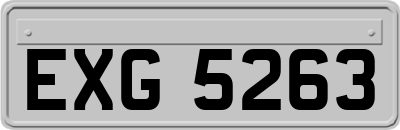 EXG5263