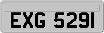 EXG5291