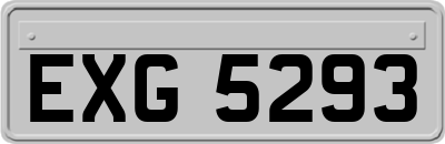 EXG5293