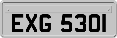 EXG5301