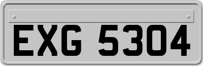 EXG5304