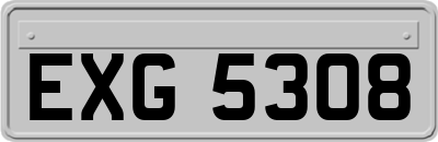 EXG5308