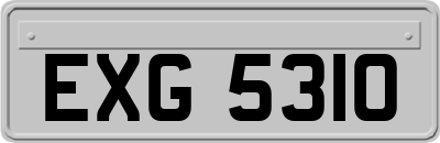 EXG5310