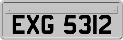 EXG5312