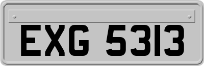 EXG5313