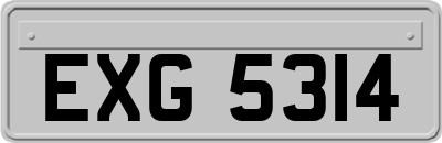 EXG5314