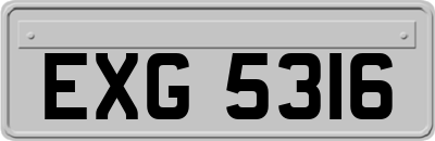 EXG5316