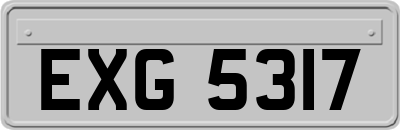 EXG5317